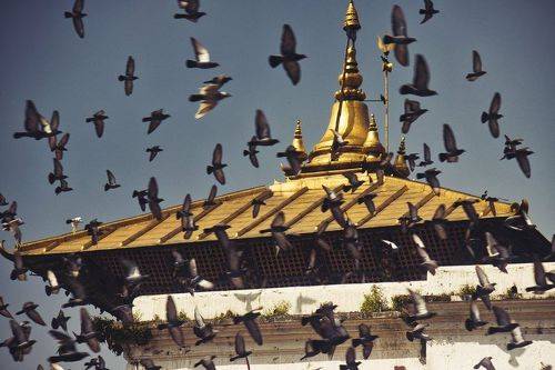 Ancient hindu Pashupatinath Golden Shiva temple 2022 year