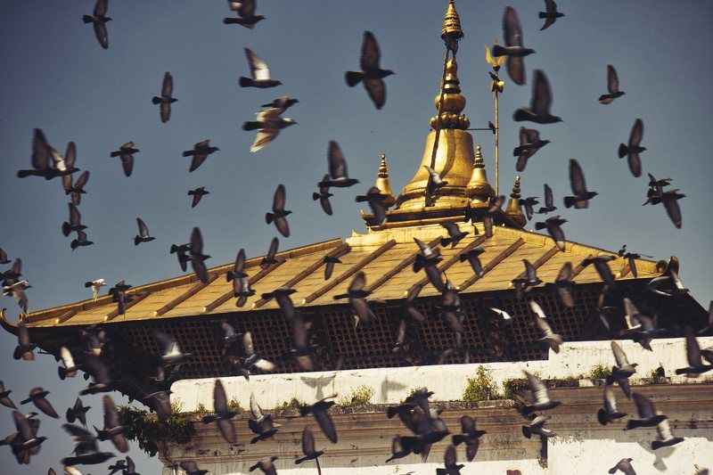 buddhist, flag, culture, temple, religion, prayer, stupa, kathmandu, buddha, bodhnath, nepal, religious, worship, eye, tibetan, travel, buddhism, architecture, ancient, symbol, heritage, asia, sacred, gold, asian, sky, pilgrimage, holy, monastery, himalay Ancient hindu Pashupatinath Golden Shiva temple 2022 year фото превью