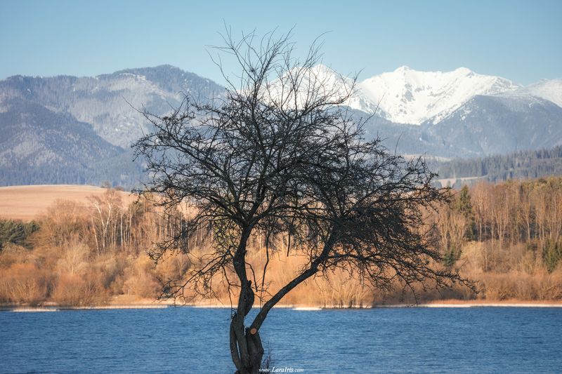Формы и контрасты фото превью