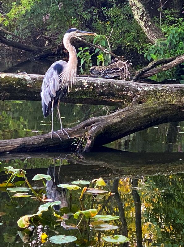 mobile photo Сосед на рыбалке фото превью
