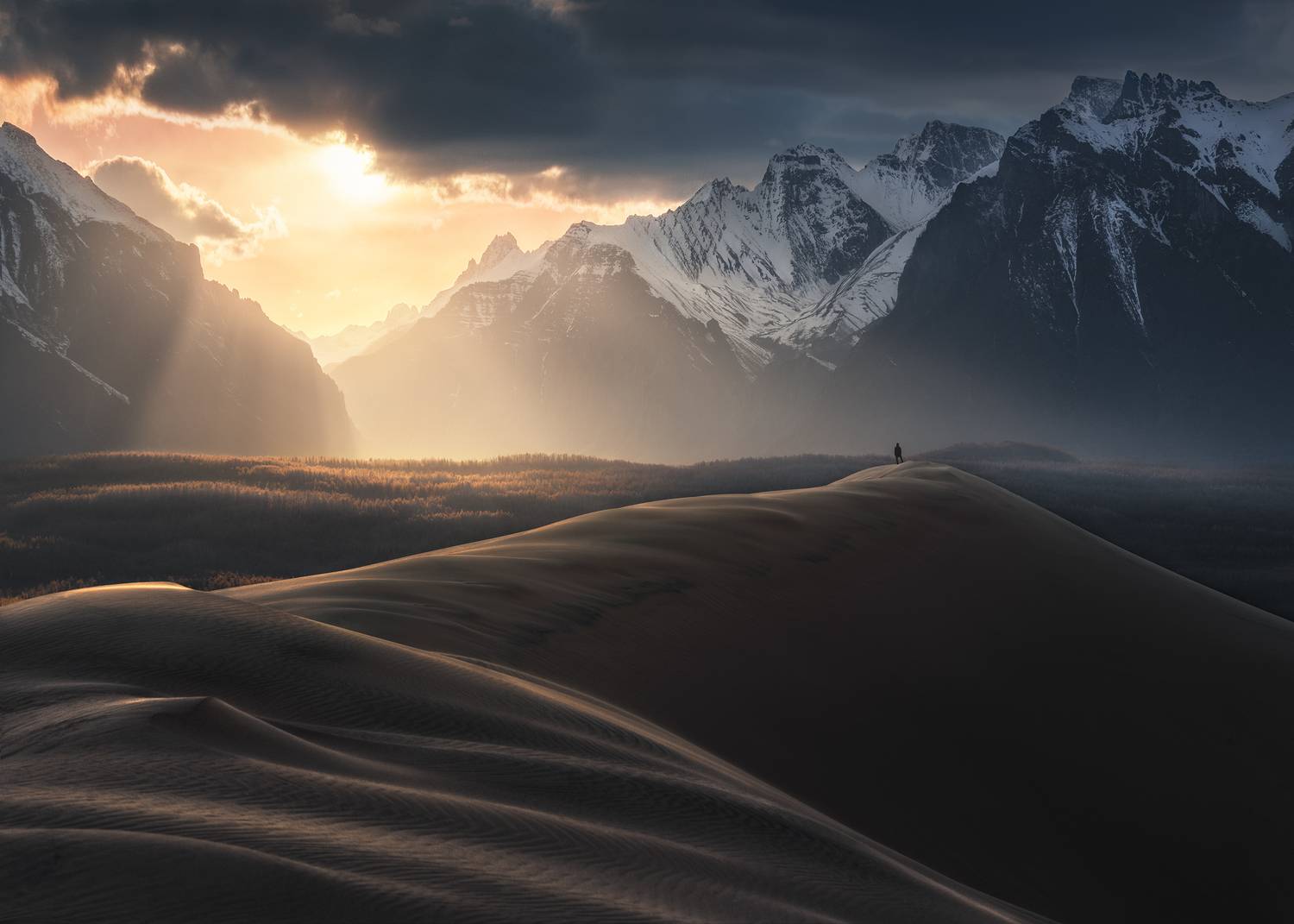 , Политова Анна