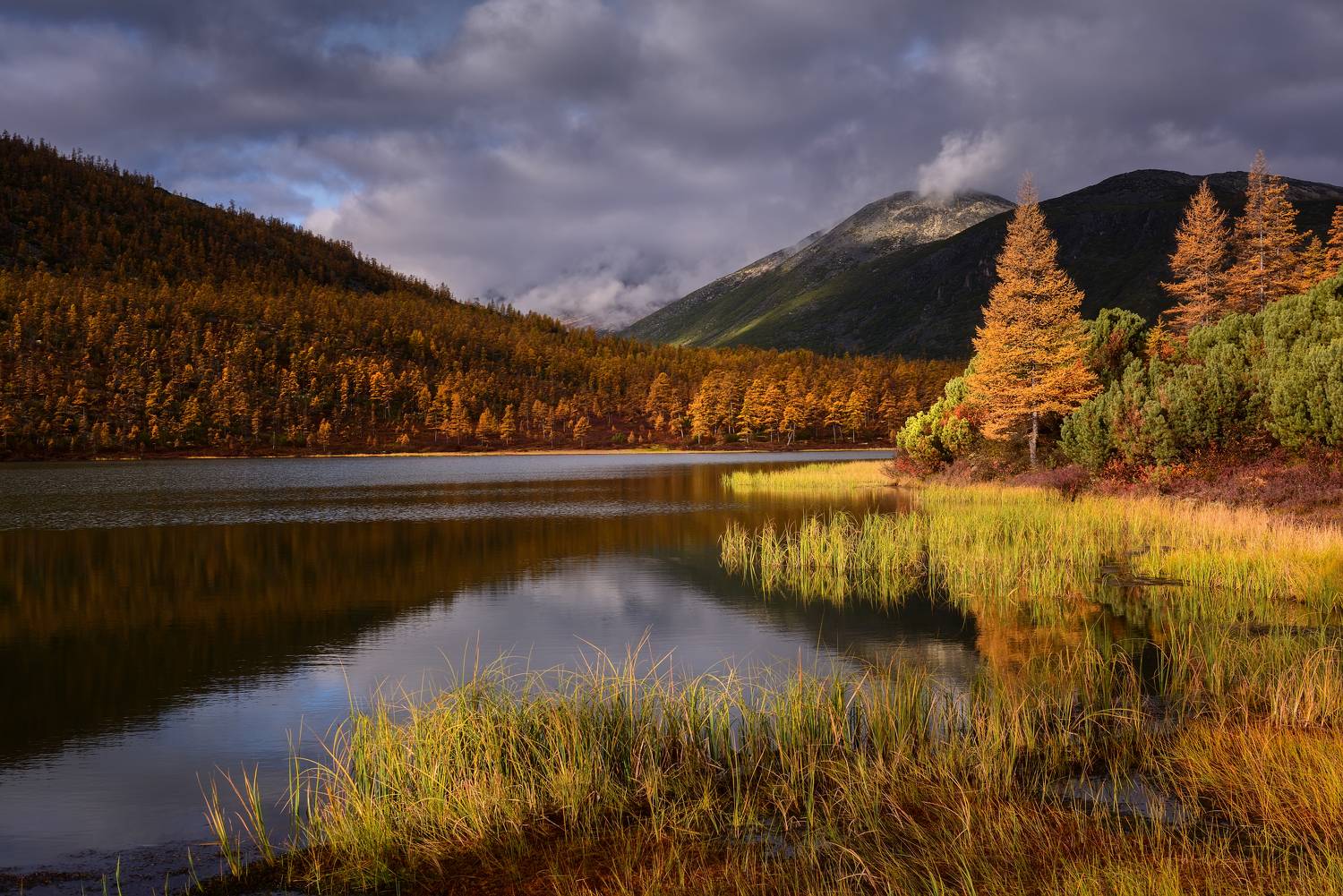 озеро джека лондона, Максим Евдокимов