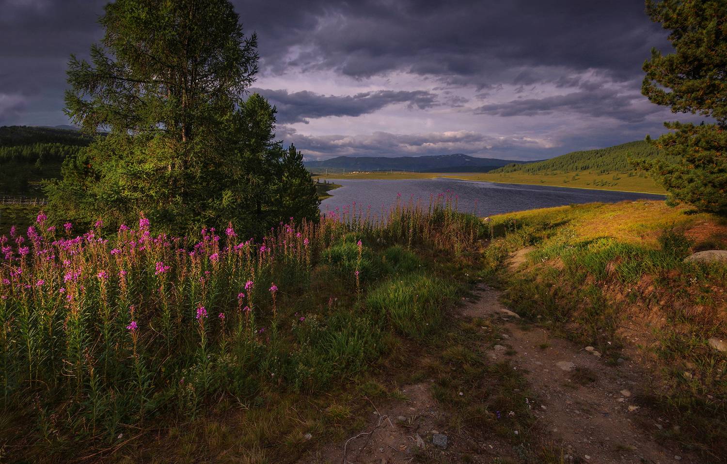алтай, озеро, вода, цветы, горы, утро, рассвет, Чичкин Валерий