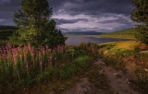 Утро у озера