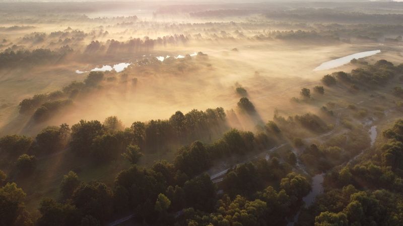 Летнее утро над пойменными лугами фото превью