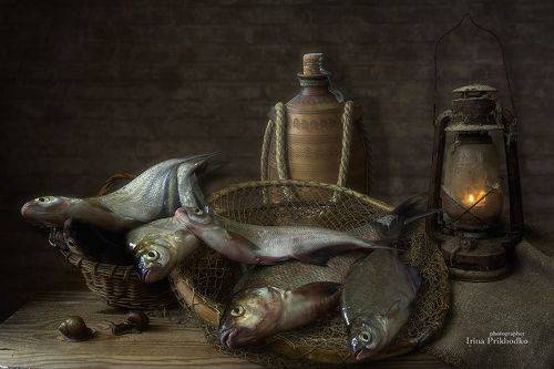 Добрый улов