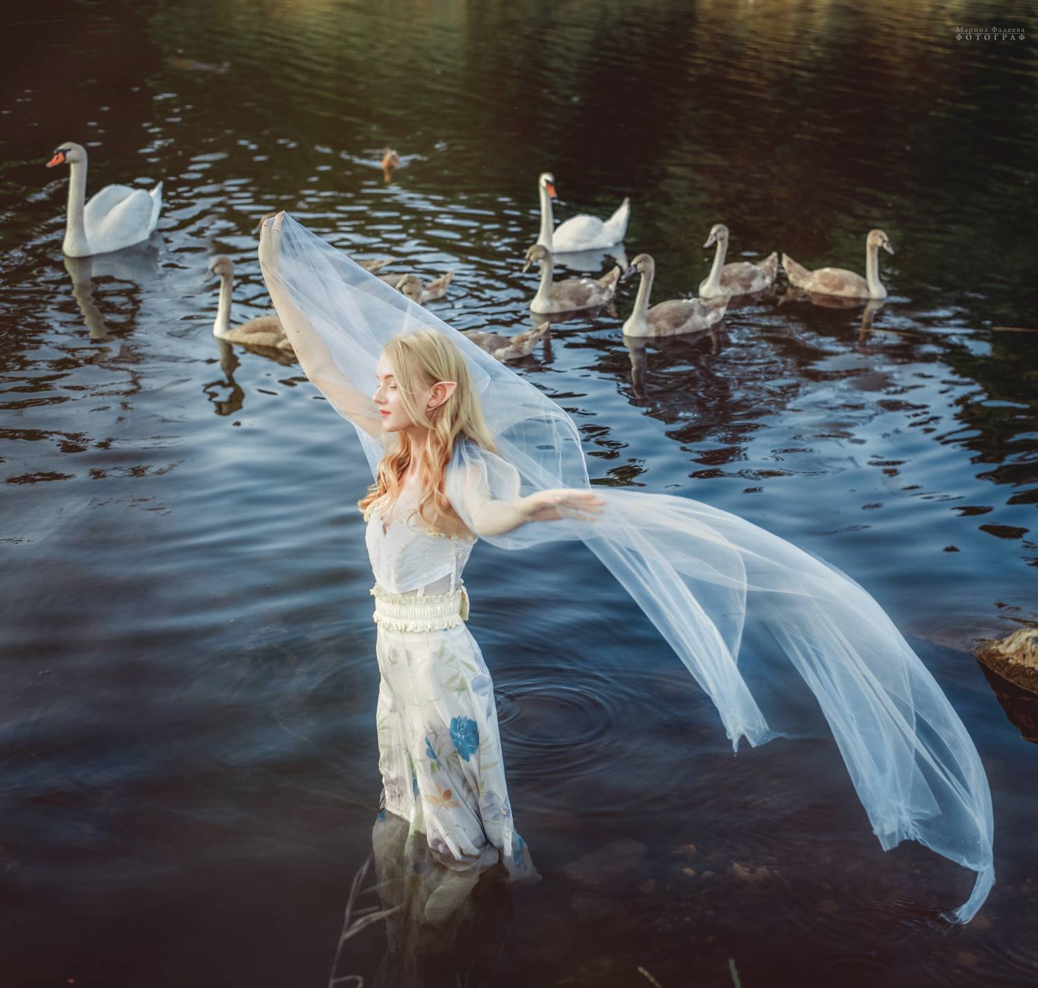 постановка, лебедь, девушка,  Мариночка
