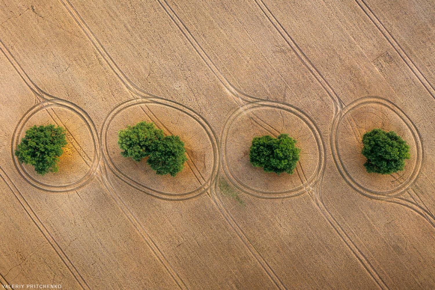 , Валерий Притченко