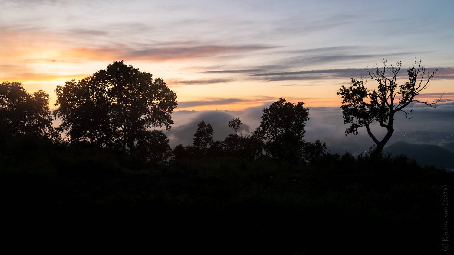 камчатка, туман, закат, лес, деревья, сопка, Иван Козлов