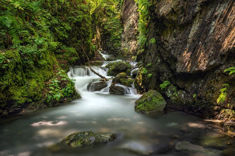 По дороге к Ляжгинскому водопаду фото превью