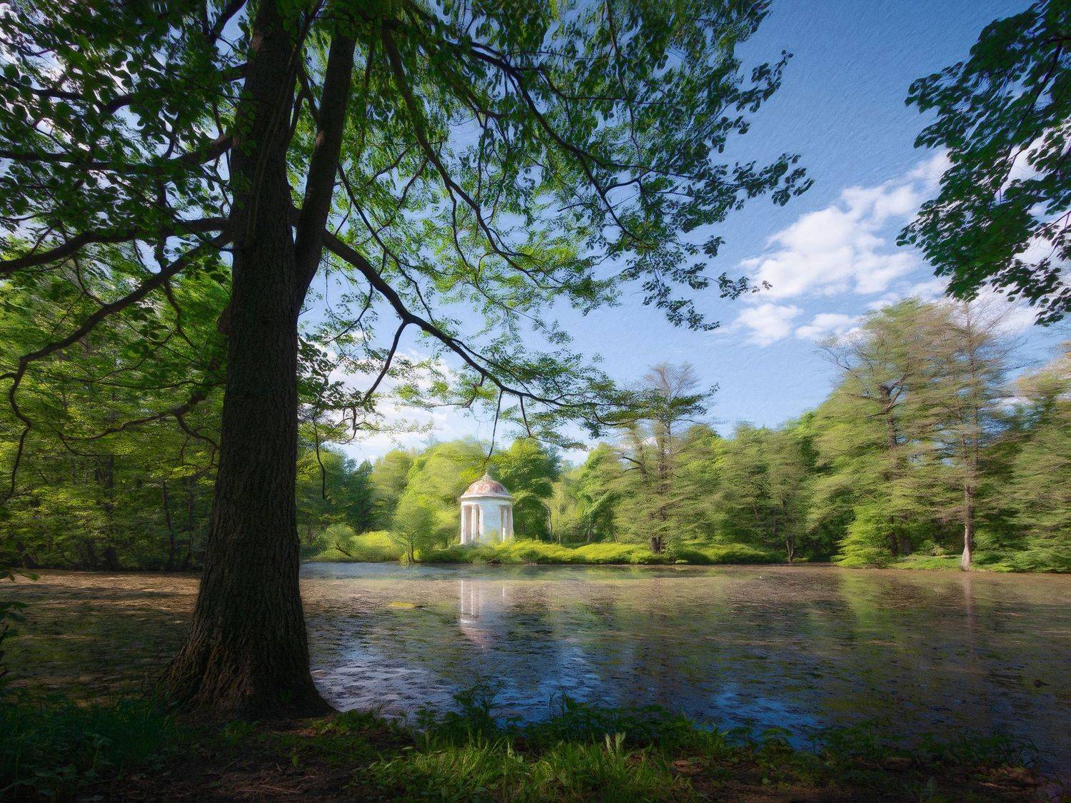 деревья, озеро, ротонда, Валерий Вождаев