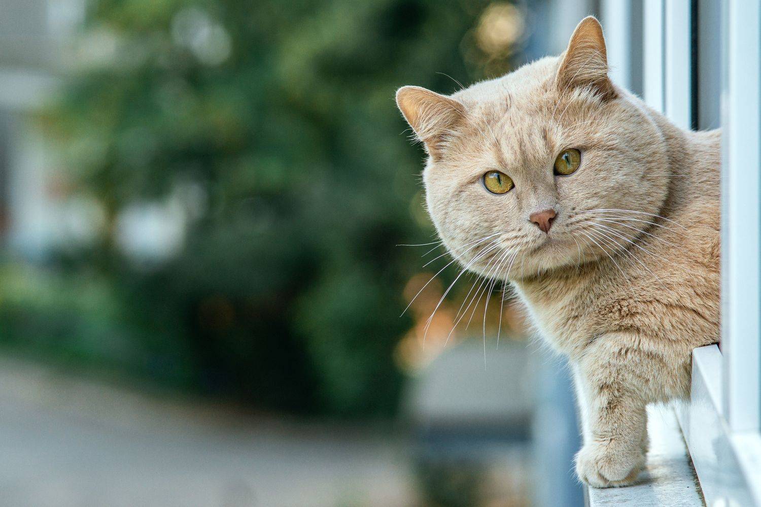 , Вертиков Юрий