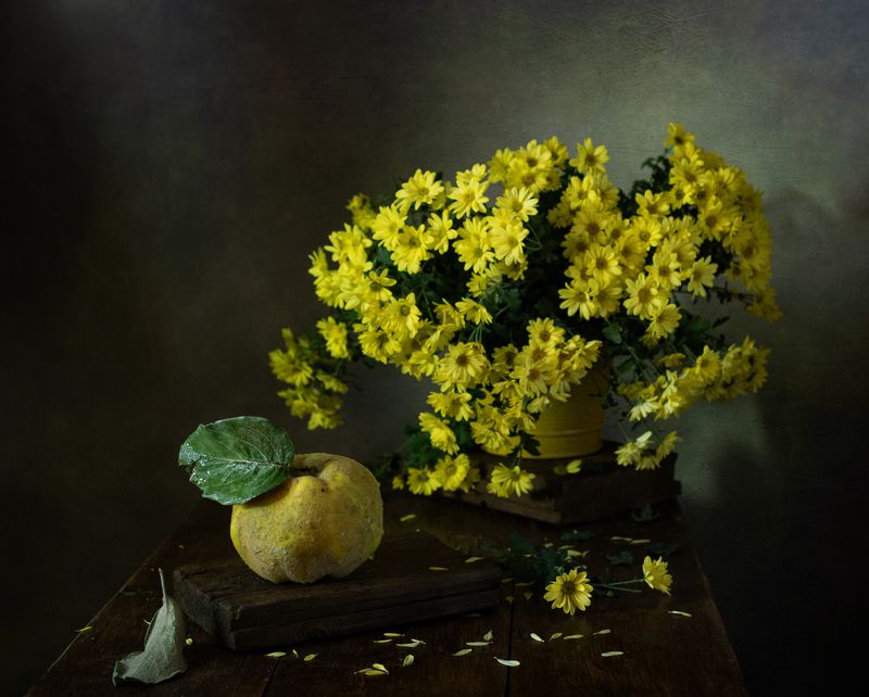 натюрморт, фрукты, цветы, айва, хризантемы Хризантемы и айва фото превью
