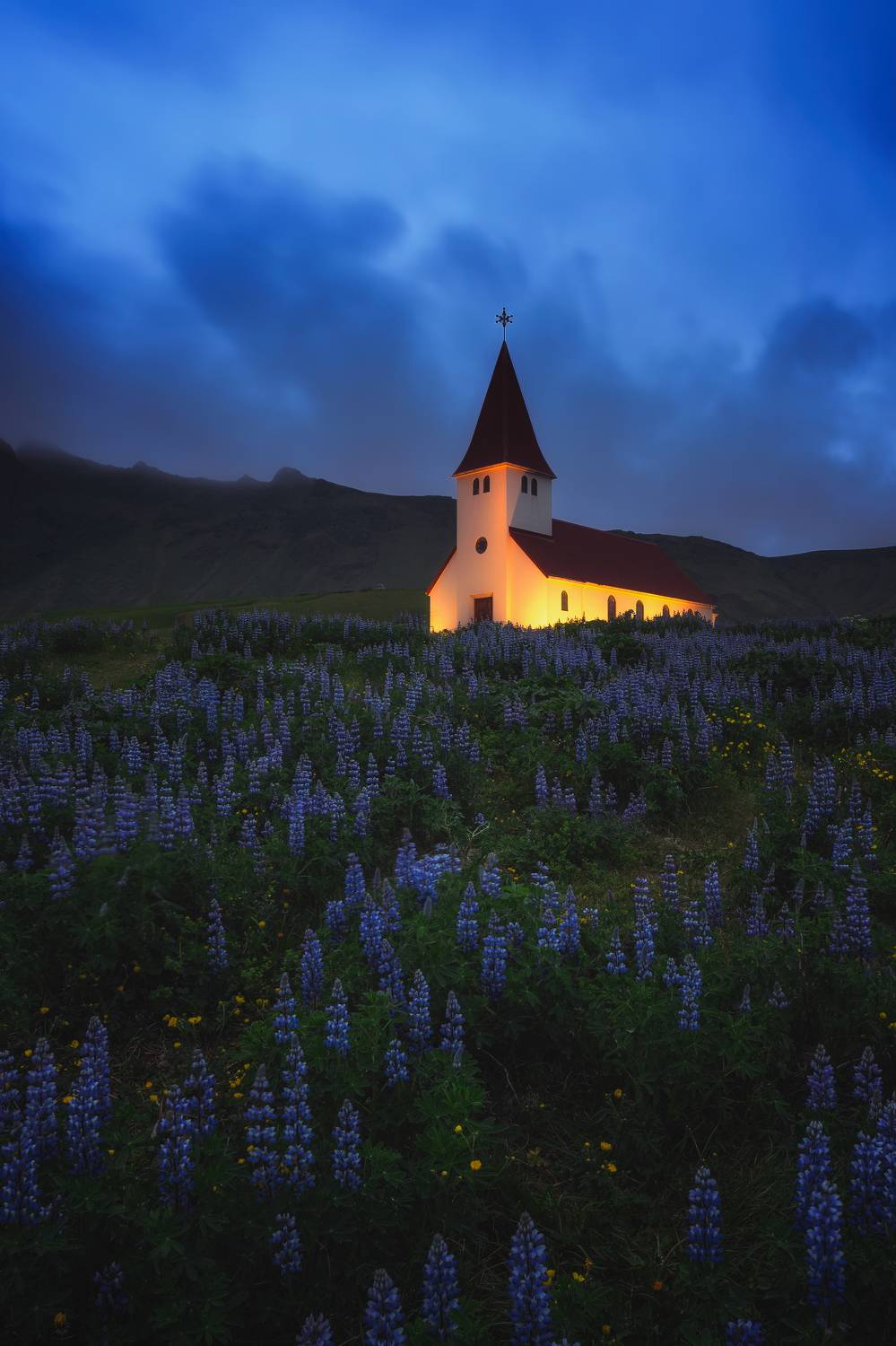 , Lyubomir Momchilov