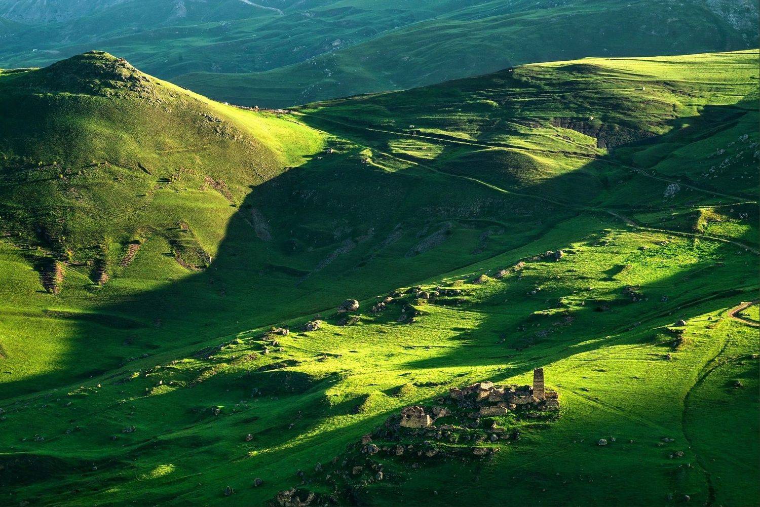 , Лесина Елена