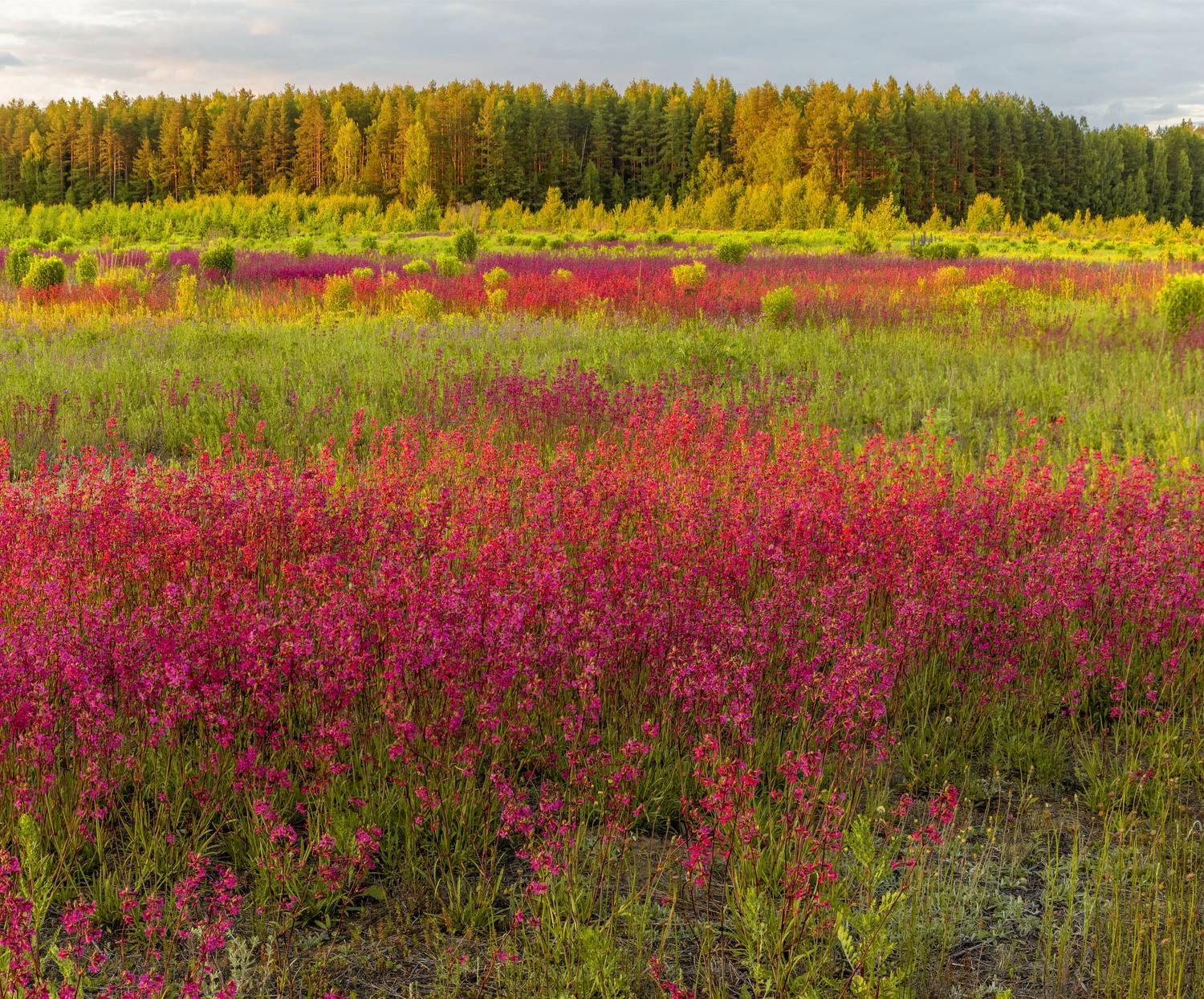 Фототуры с Владимиром Рябковым, #topnature #russpasibo #magic_shots #lovelyRussia #sunset_vision #exclusive_sky  #exclusive_shots #loves_russia2 #photoarena_nature #nature_sultans #nature_perfection #rsa_sky #rsa_sunset #photorussia #rsa_naturepics #sunse, Владимир Рябков