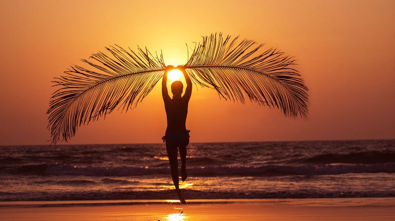 В полет фото превью