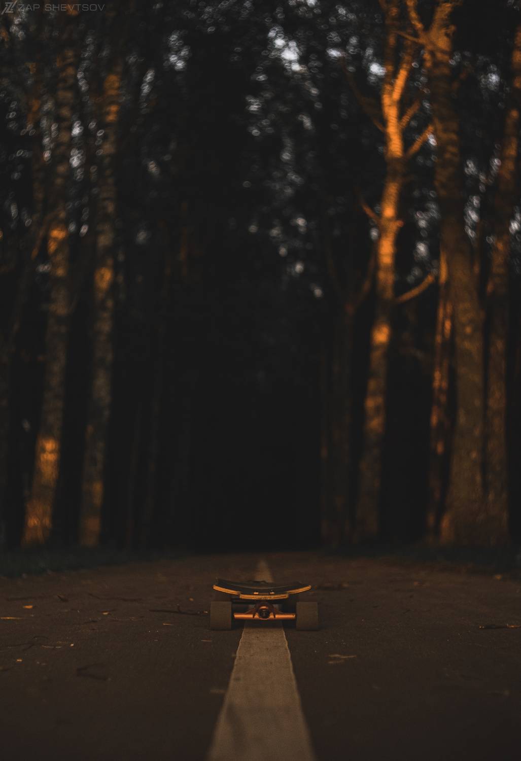 ZapWorld,zap,zap shevtsov,Сергей Шевцов,темное,ночь,туман,яркое,Необычное,лучшее фото,креативное,креатив,винтажное,пленочное, Sergey Shevtsov