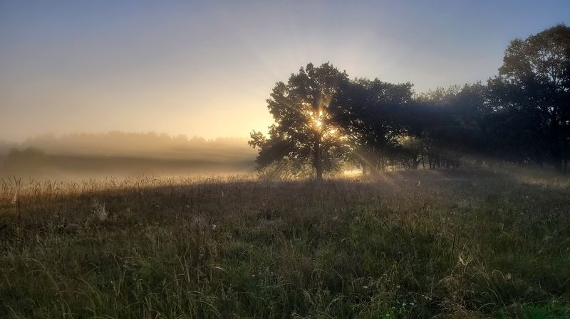 Утренний пейзаж фото превью