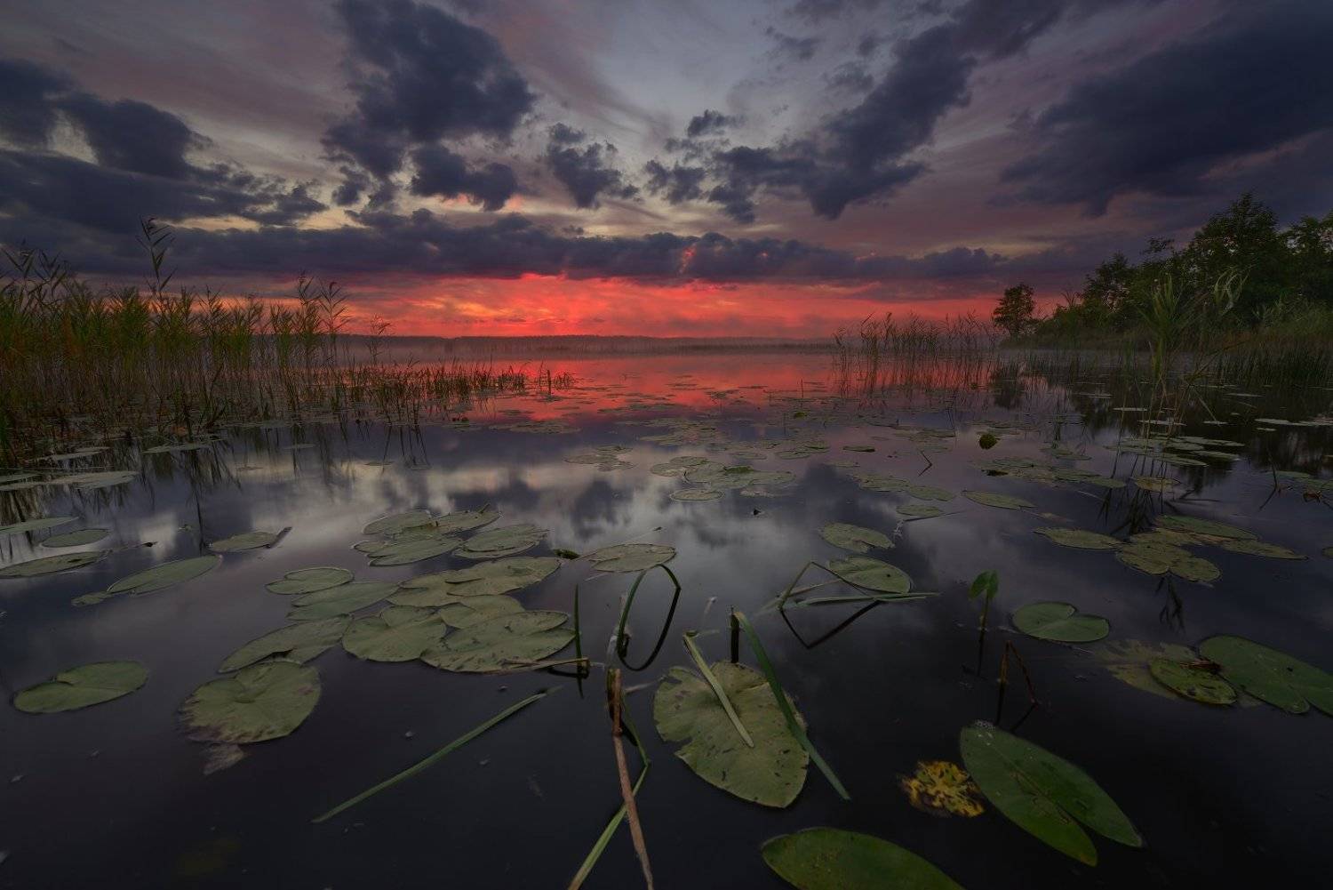 , Максим Евдокимов