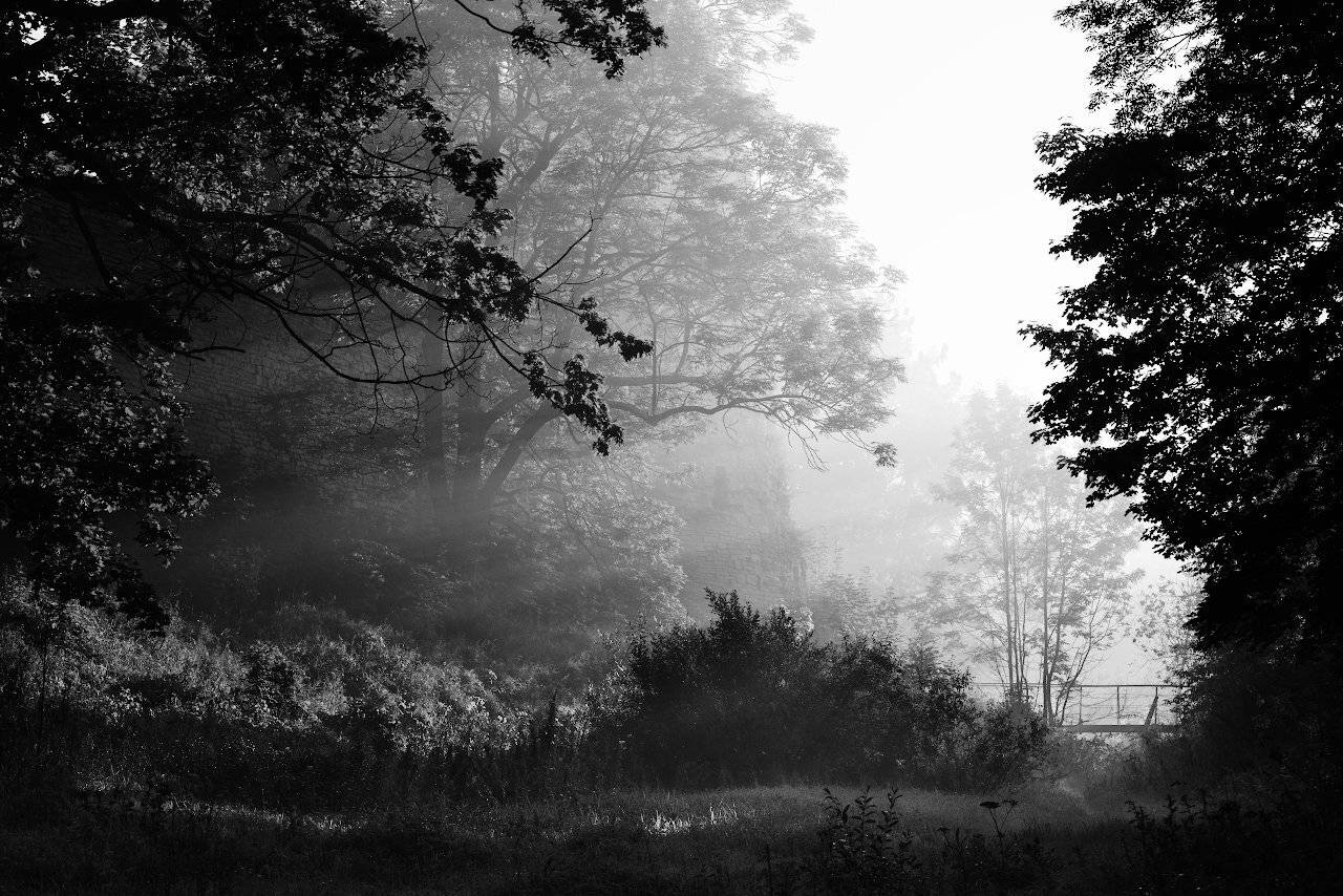 , Дмитрий Жгутов