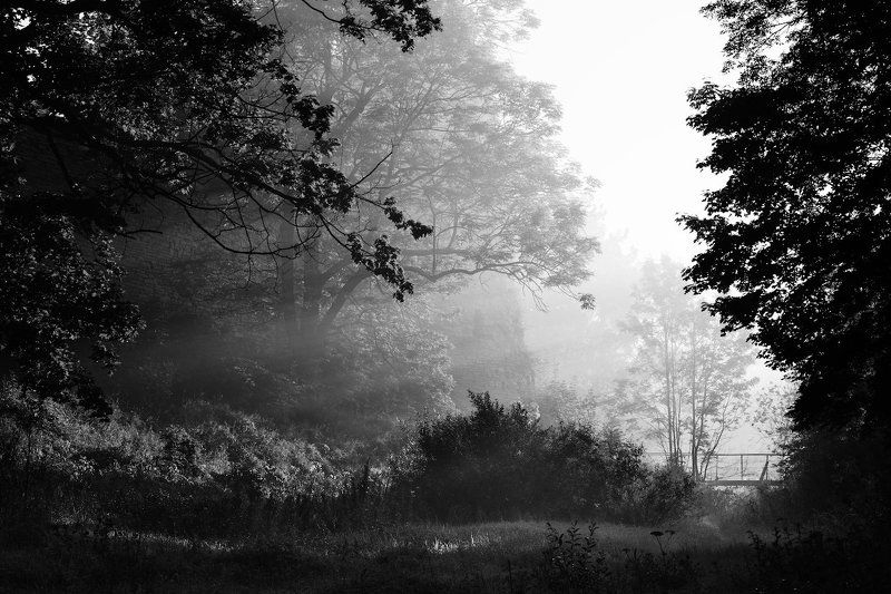 * * * фото превью