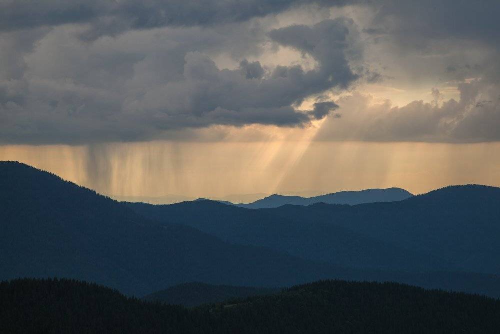 , Ярослав Тюрменко (Jaremi)