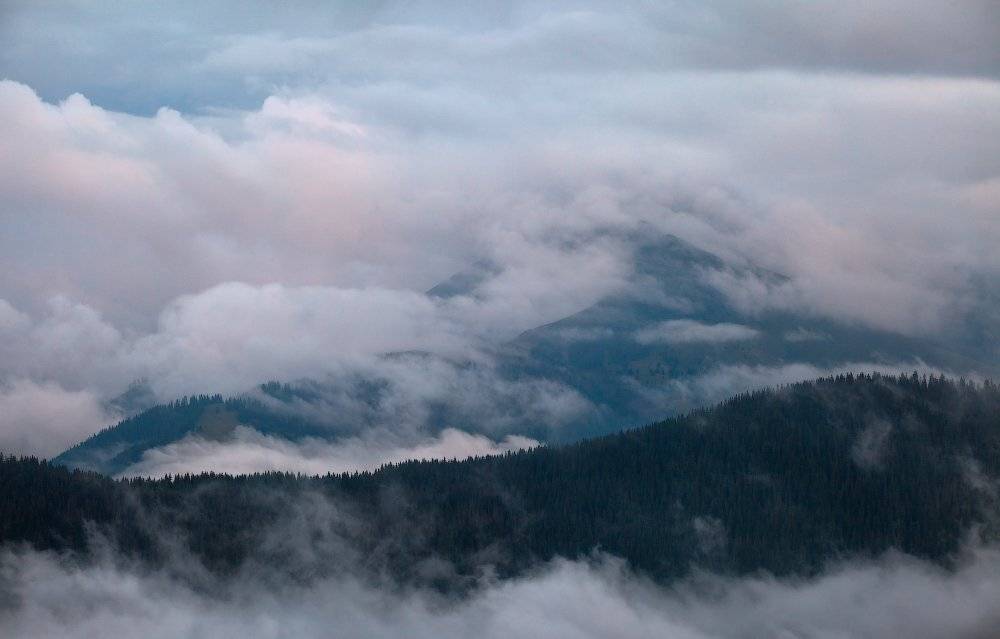 , Ярослав Тюрменко (Jaremi)