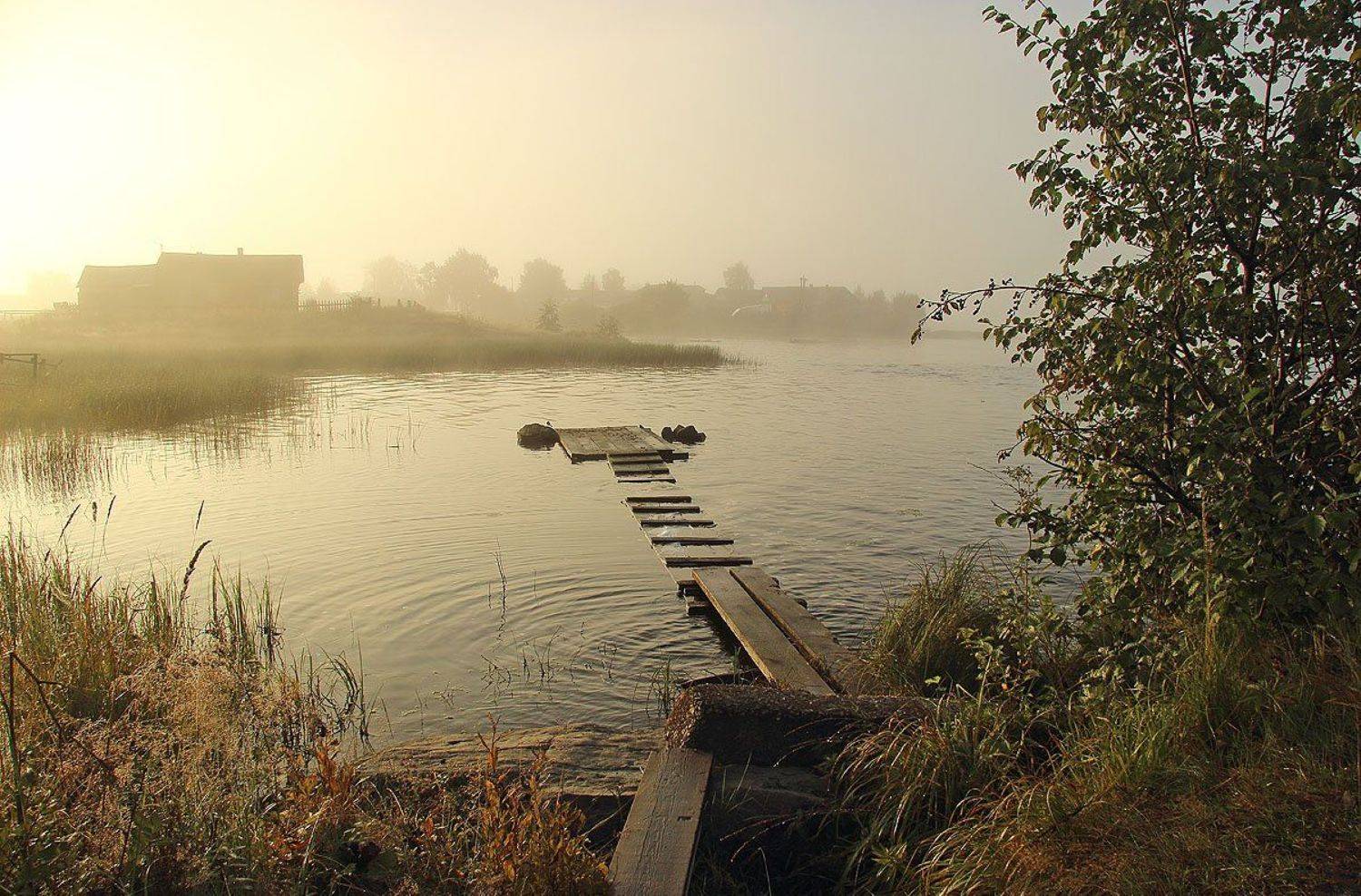 , Александр Коротков