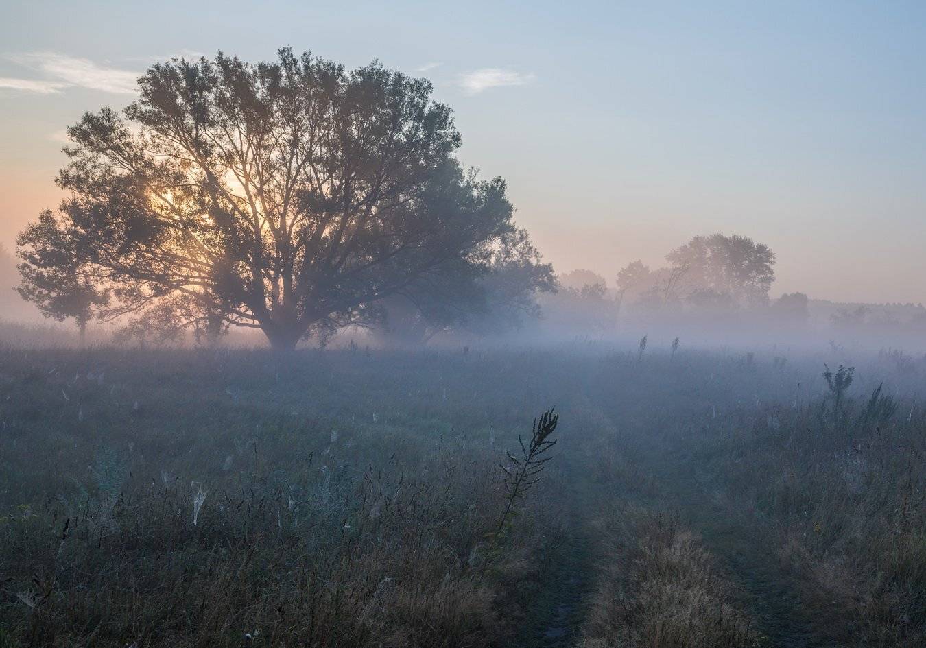, Александр Бредихин
