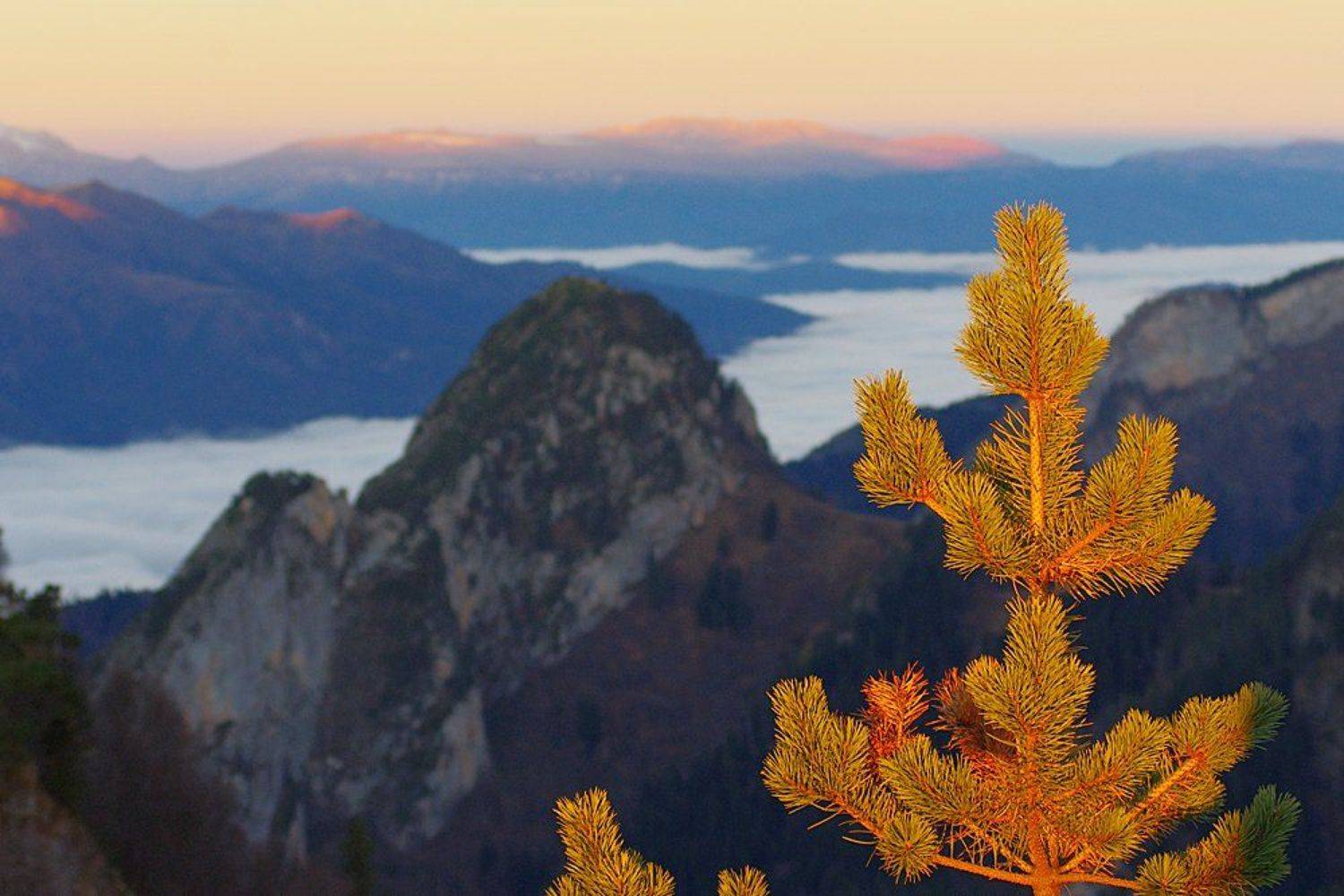 , Ловиков Михаил