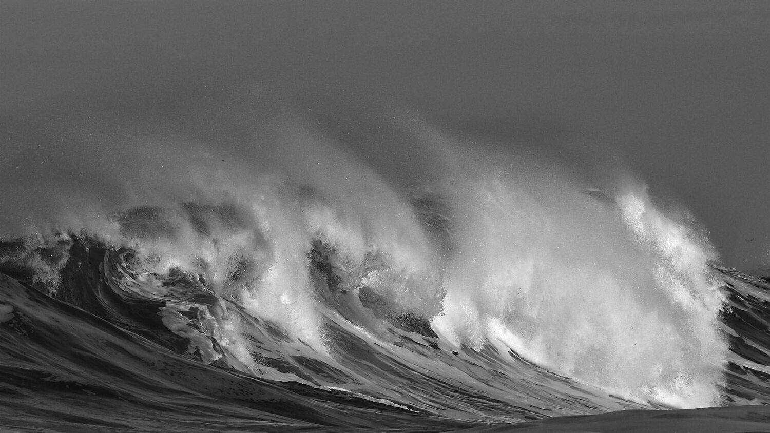 Wild waves, KIM SUK EUN