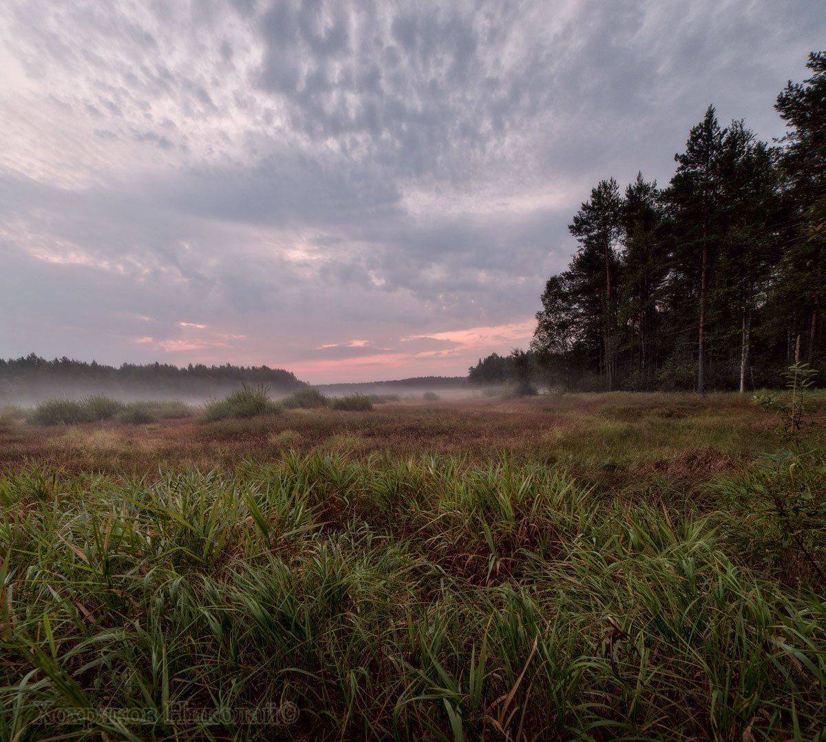 , Хохряков Николай