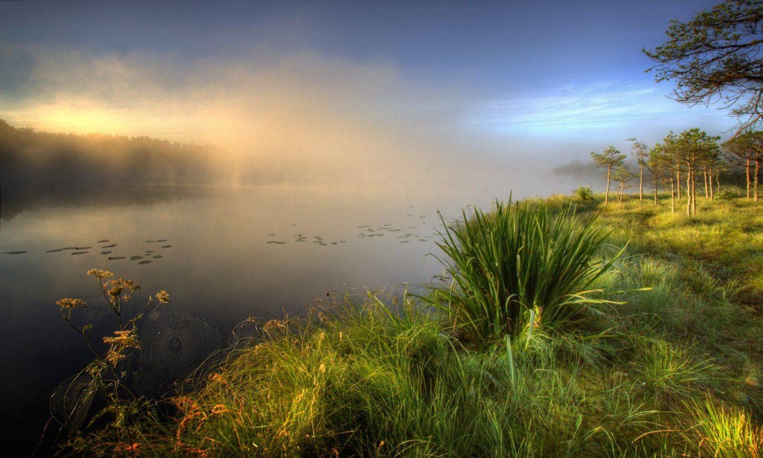 , Marius Gailiu&scaron;is