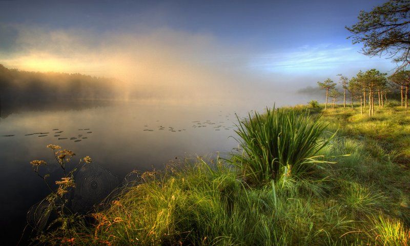 Пейзаж... фото превью