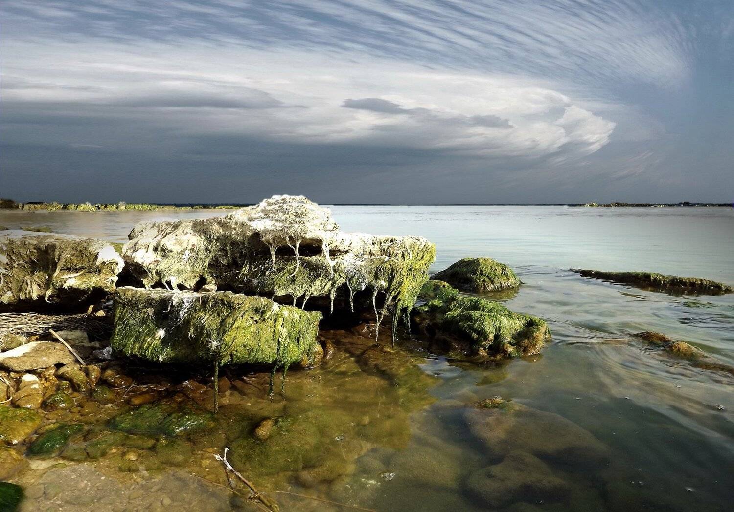 одесса, Сергей Кошелев