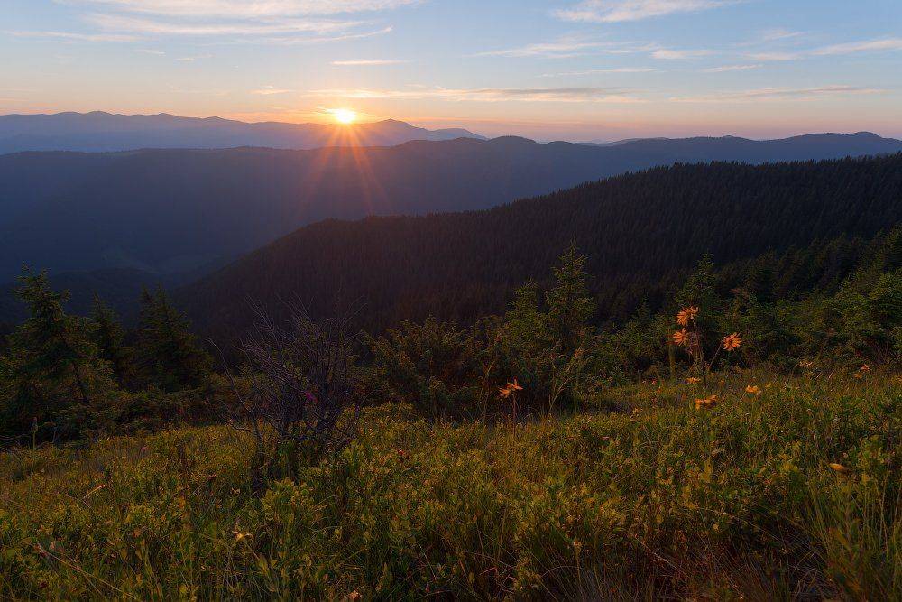 , Ярослав Тюрменко (Jaremi)