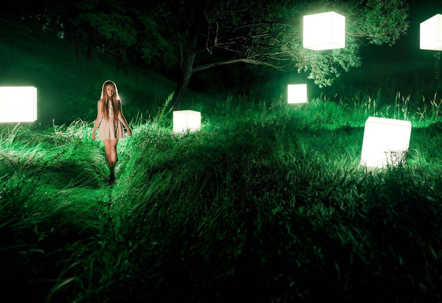 портрет, девушка, сказка,, Саня Тупикин