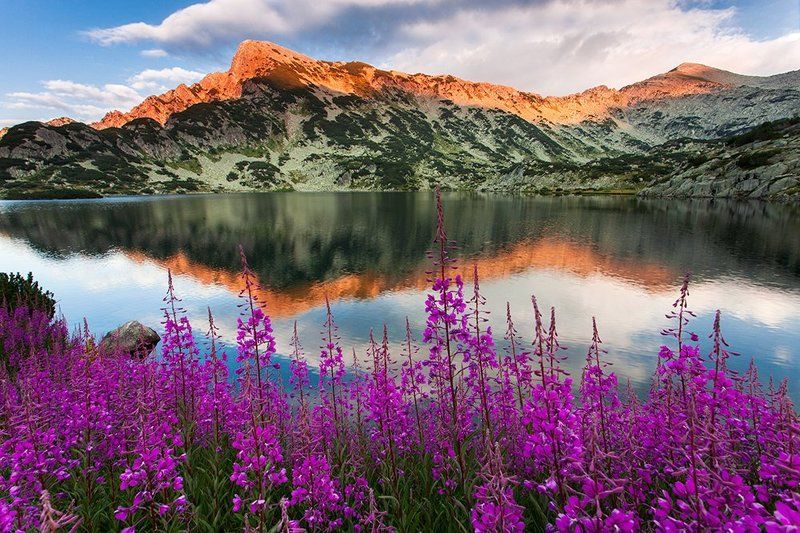 болгария, пирин, Пирин фото превью