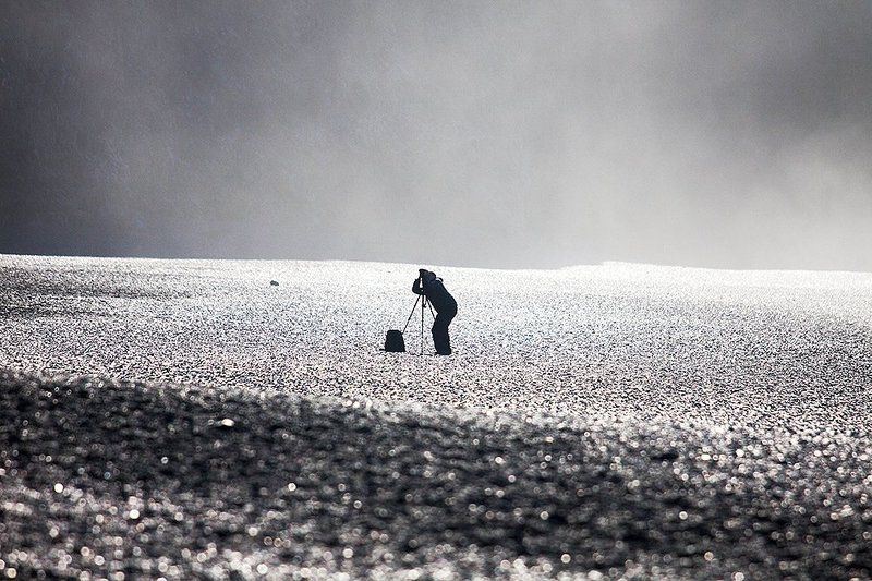 Орнитолог фото превью