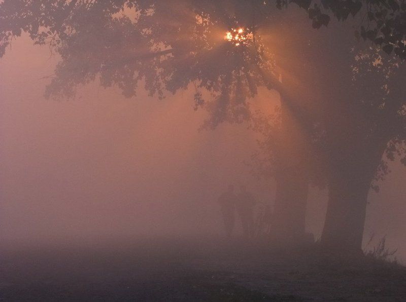 Разговор по душам фото превью