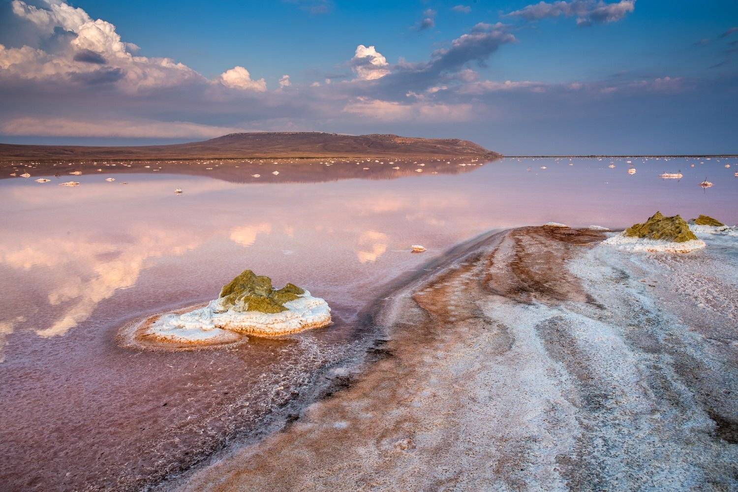 , Станислав Савицкий