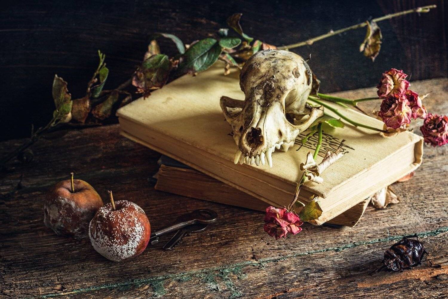 Nature Morte. Автор: Станислав Аристов , Станислав Аристов
