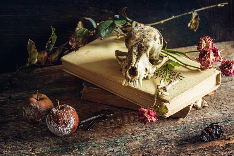 Nature Morte фото превью