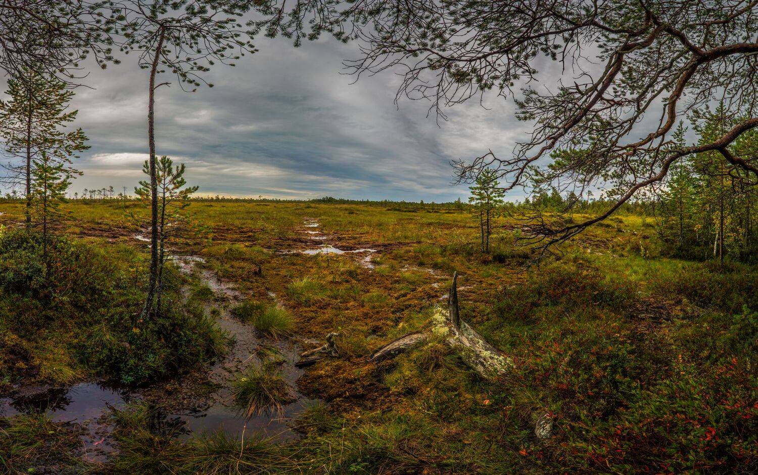 , Олег Авдеев