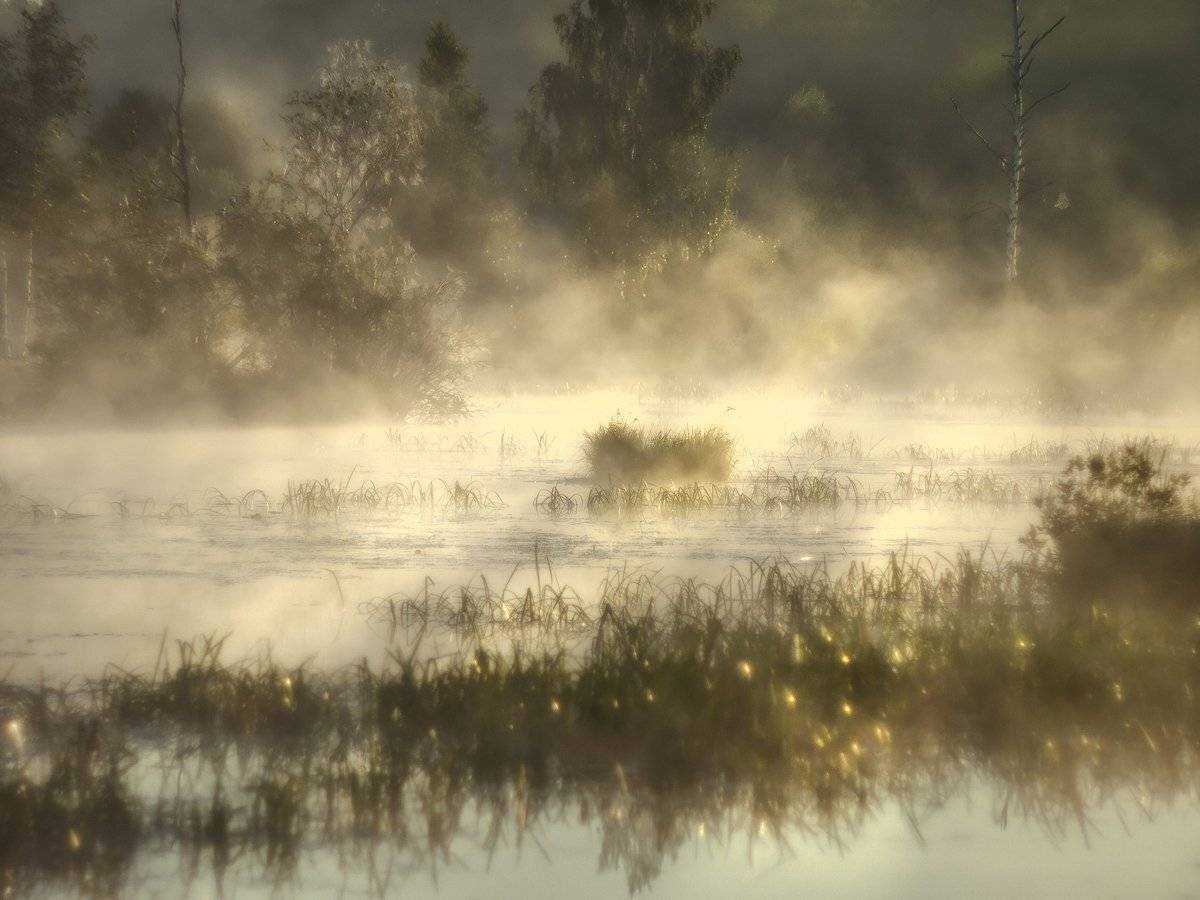 , Марина Брыдня