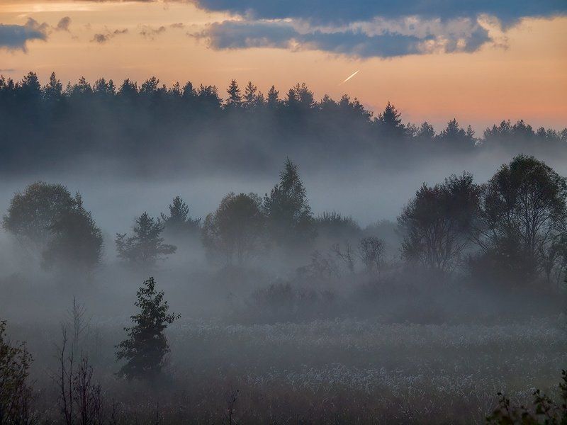 Мгновения августовского утра фото превью