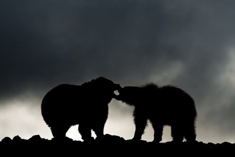 *** фото превью