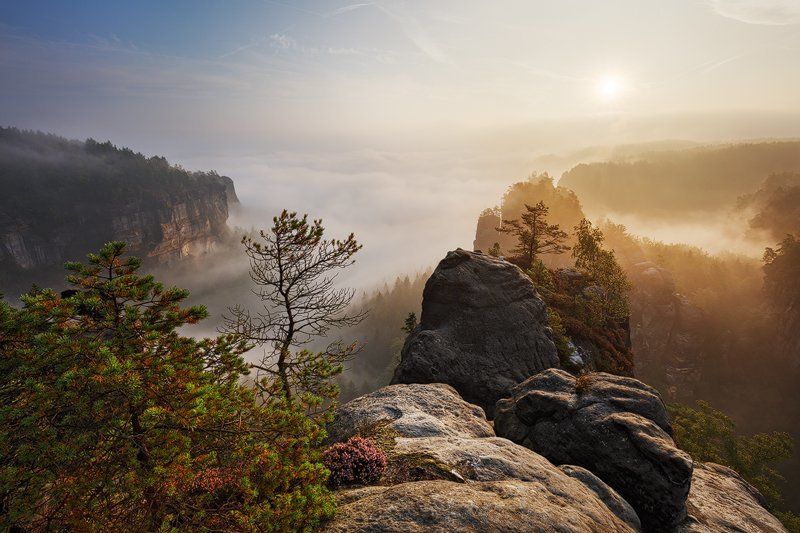 Fog, Germany, Light, Mist, Morning, Rocks, Sandstone, Saxon switzerland, Summer Jurassic World фото превью