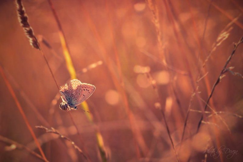 отдых фото превью